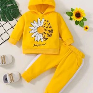 Baby floral and butterfly print hoodie and sweatpants
